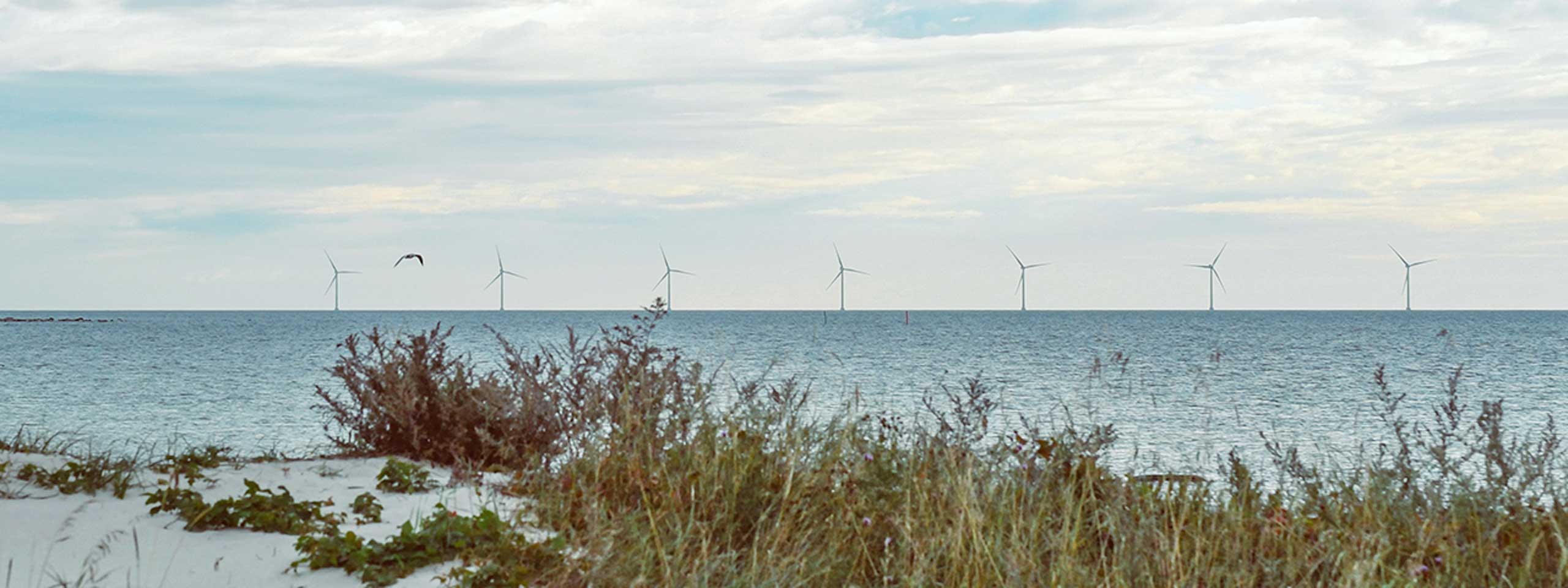 A serene coastal landscape featuring wind turbines standing in the water, with gentle waves in the background.