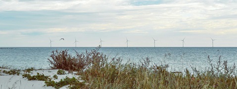 Reduzierung der Auswirkungen von Offshore-Windparks auf die Meeresökologie | RWE