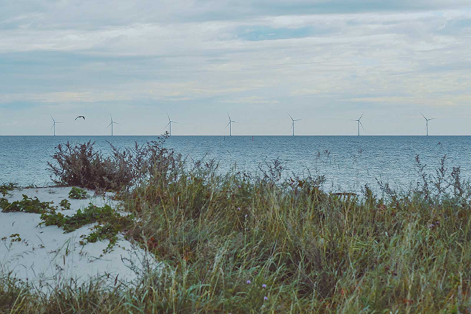 A coastal scene featuring wind turbines in the distance, with shrubs and grass in the foreground under a cloudy sky.