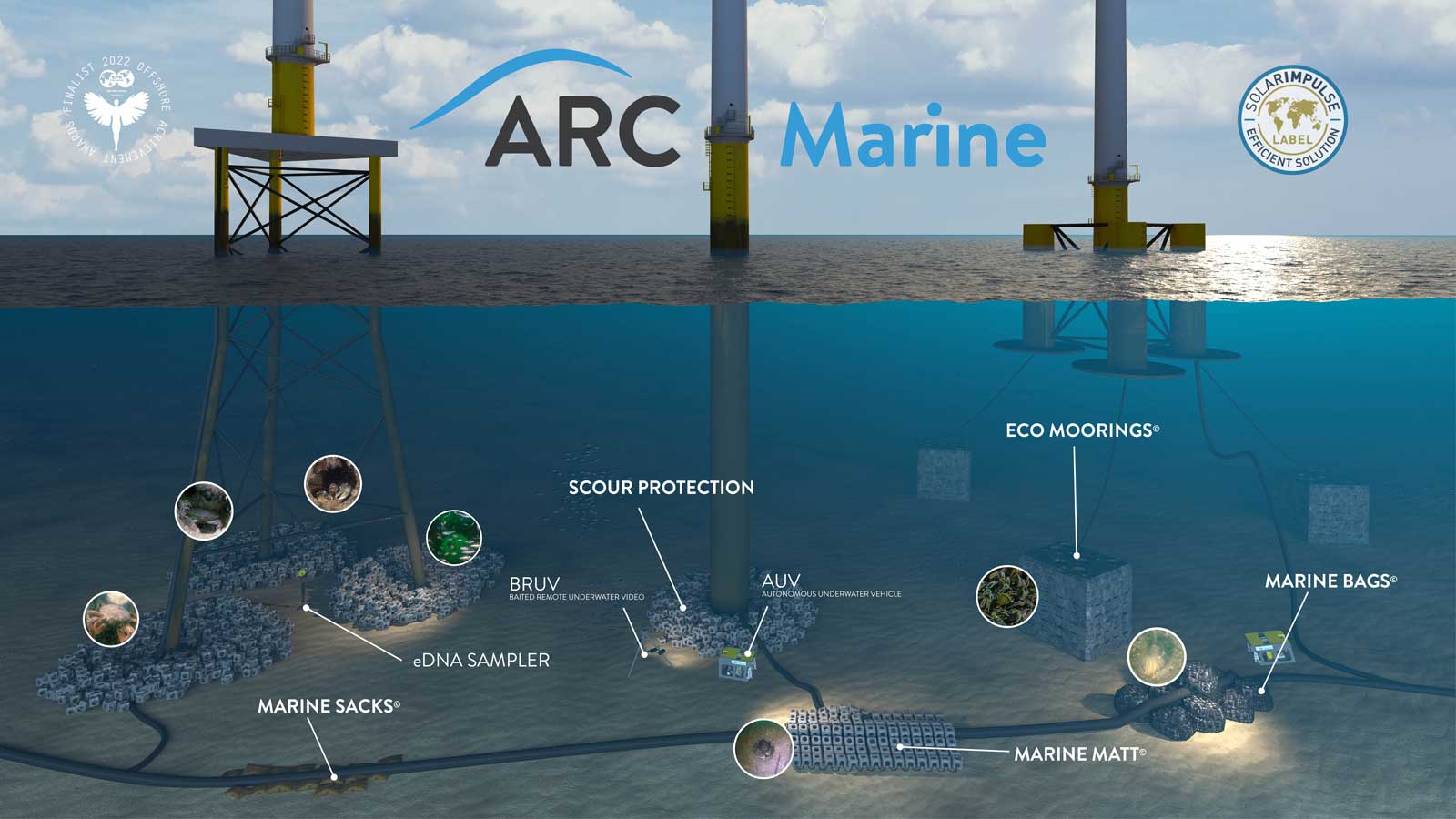 Underwater view of a marine energy installation featuring scour protection and various ecological devices submerged.