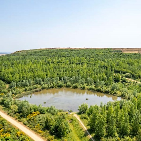 Luftaufnahme eines ruhigen Teichs, umgeben von üppigem Grün und einem Schotterweg in einer friedlichen Landschaft.