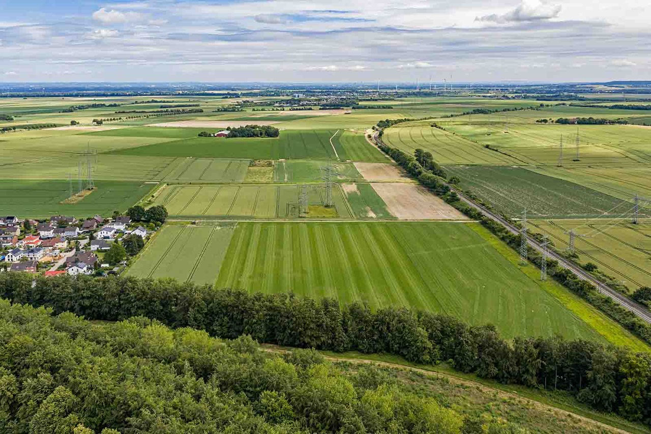 Vogelperspektive auf eine flache Agrarlandschaft mit rechteckigen grünen und gelben Feldern, einer Baumreihe im Vordergrund und einem kleinen Dorf links, unter einem weitläufigen blauen Himmel.