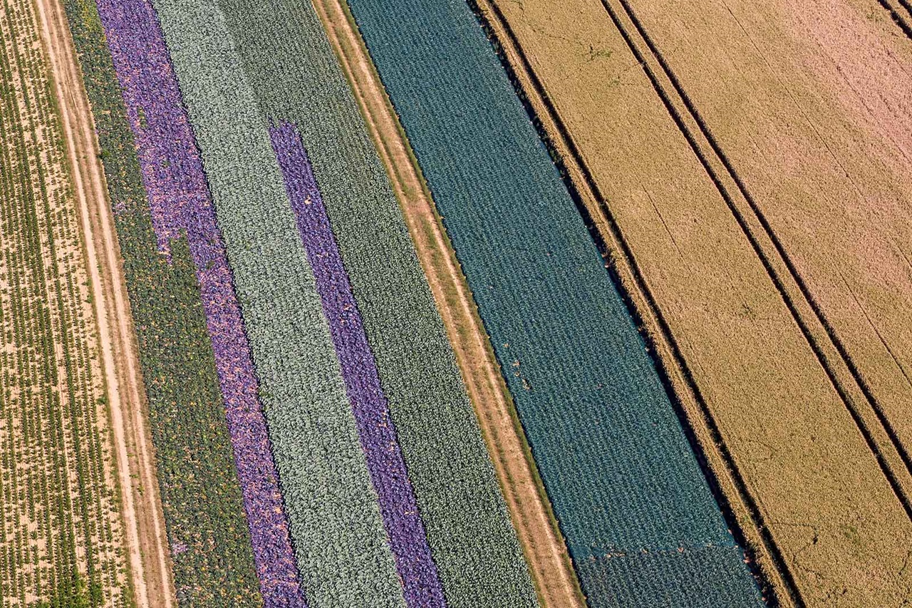 RWE Image