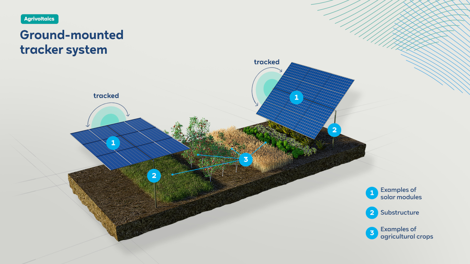 A ground-mounted solar tracker system with solar modules, substructure, and various agricultural crops illustrated.
