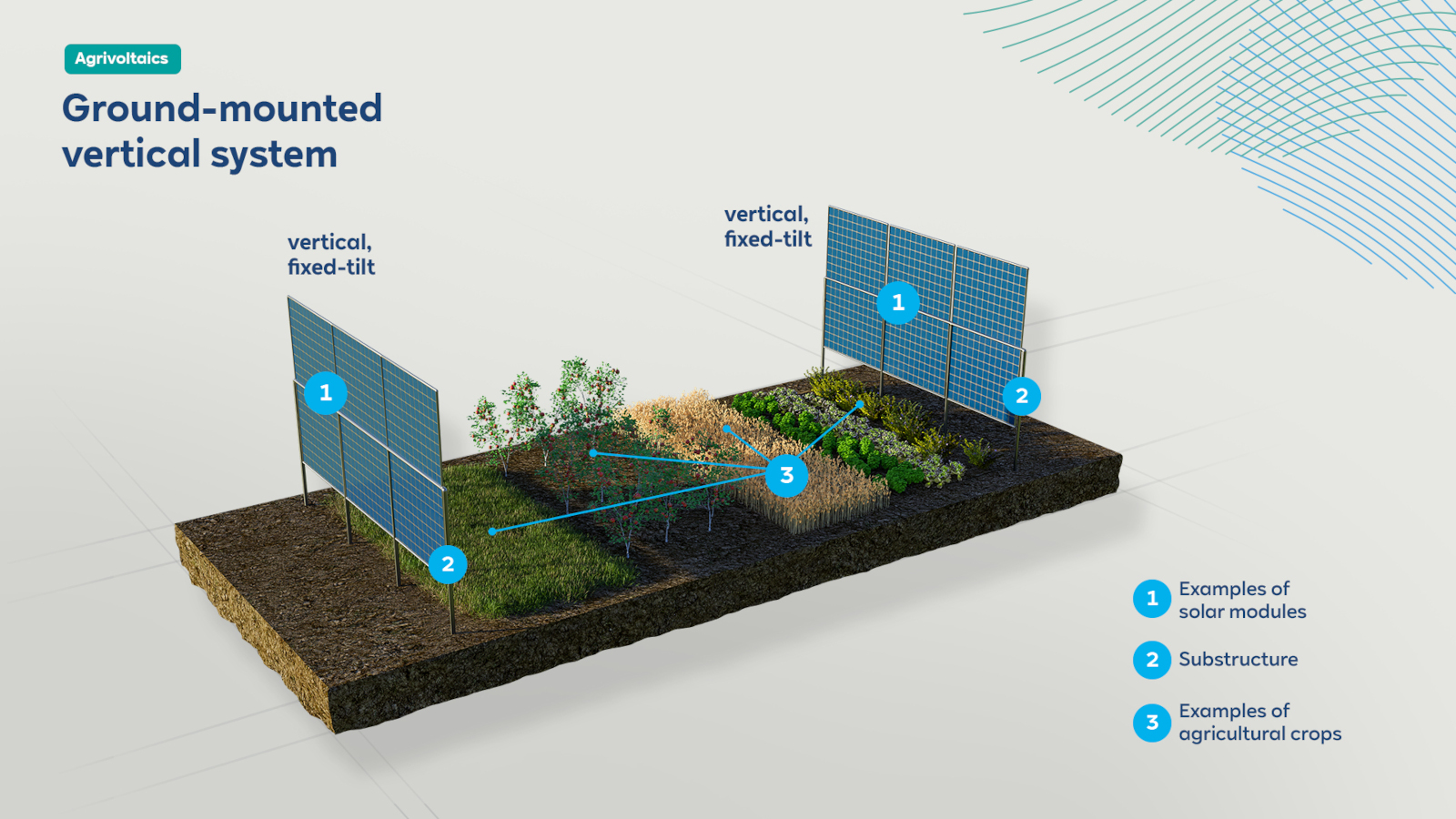 A 3D illustration of a ground-mounted vertical system featuring solar panels and examples of crops.