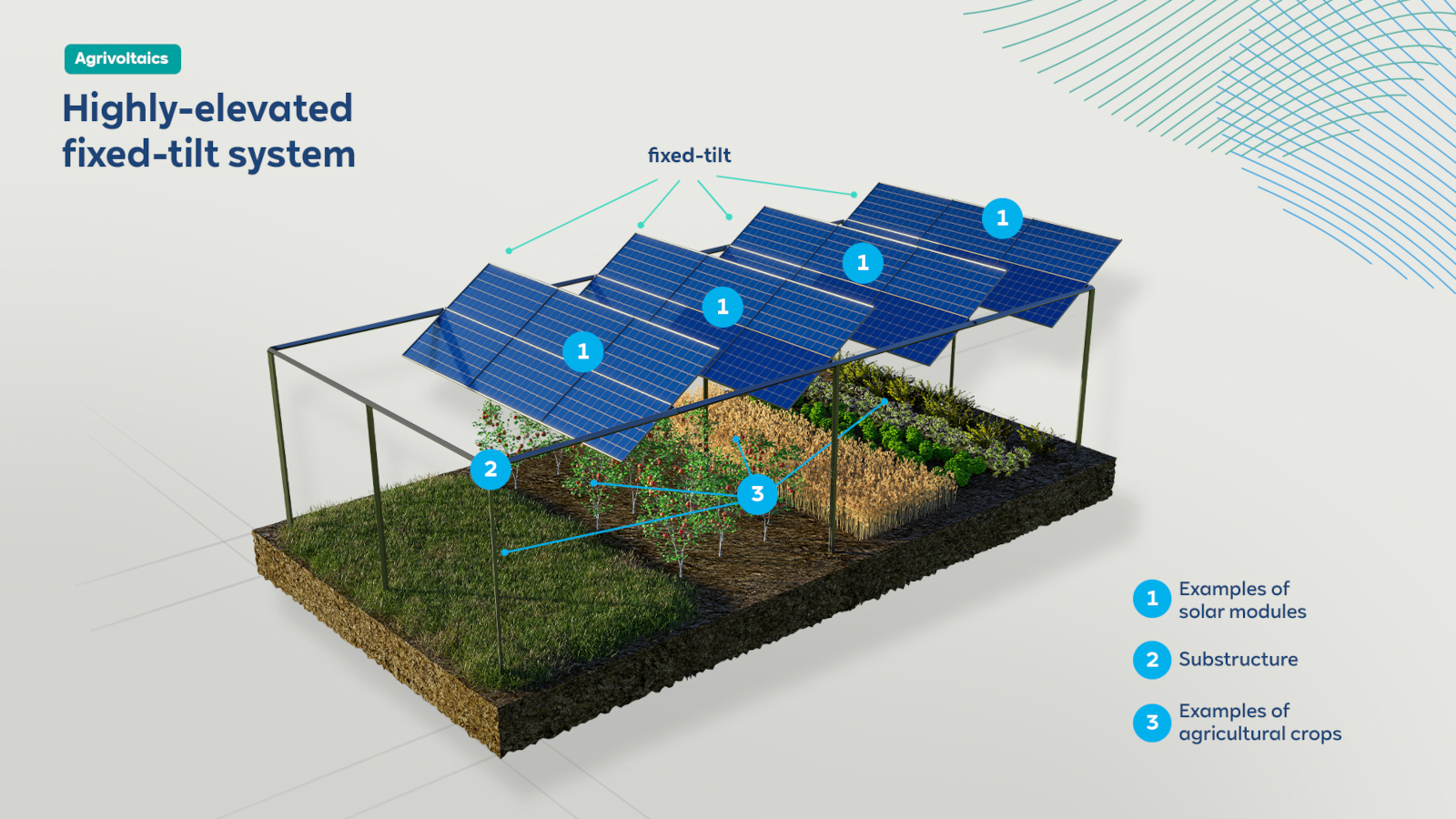 A 3D diagram of a highly-elevated fixed-tilt solar system illustrating solar modules, substructure, and agricultural crops.