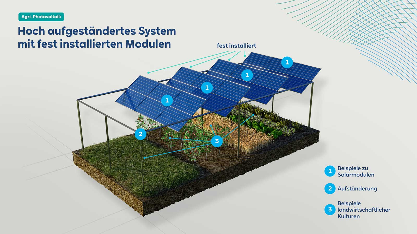 Variante 3: Feste Module mit Bewirtschaftung unter den Modulen