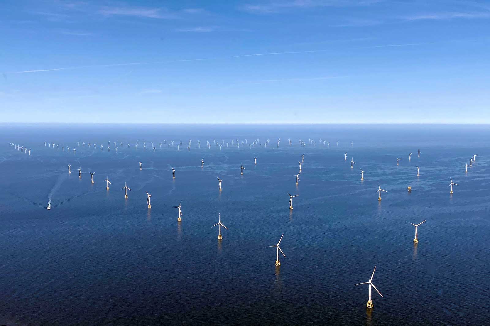 A vast offshore wind farm with numerous wind turbines on the water and a clear sky in the background.