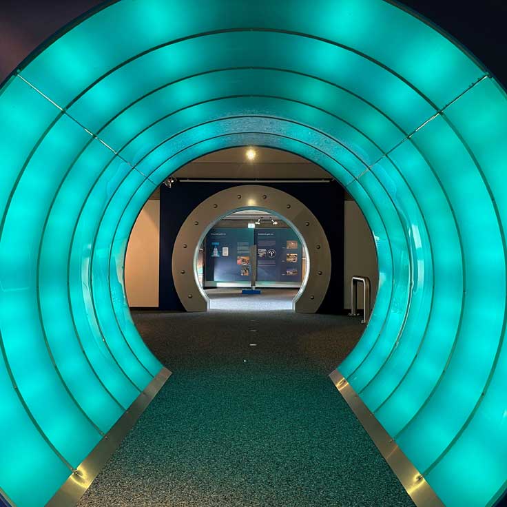Ein hell erleuchteter, aquamarinfarbener Tunnel führt zu einem weiteren runden Eingang mit sanften Kurven in den Wänden und einem Teppichboden.