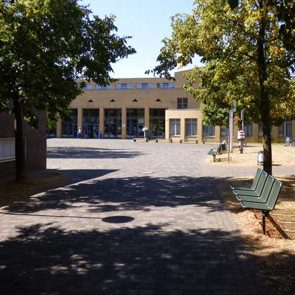 Eine klare Sicht auf einen Platz mit Bänken und Bäumen, der zu einem Gebäude mit großen Glastüren führt.