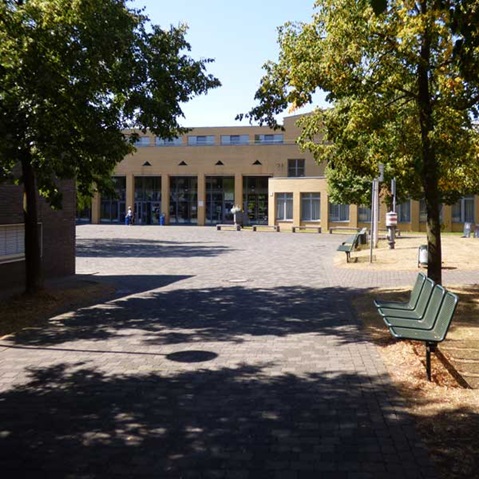 Eine klare Sicht auf einen Platz mit Bänken und Bäumen, der zu einem Gebäude mit großen Glastüren führt.