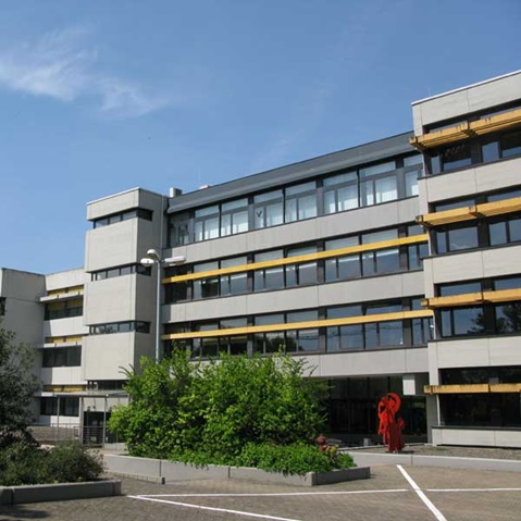 Ein modernes Gebäude mit großen Fenstern, gelben Akzenten und Grünpflanzen im Vordergrund, unter einem klaren blauen Himmel.