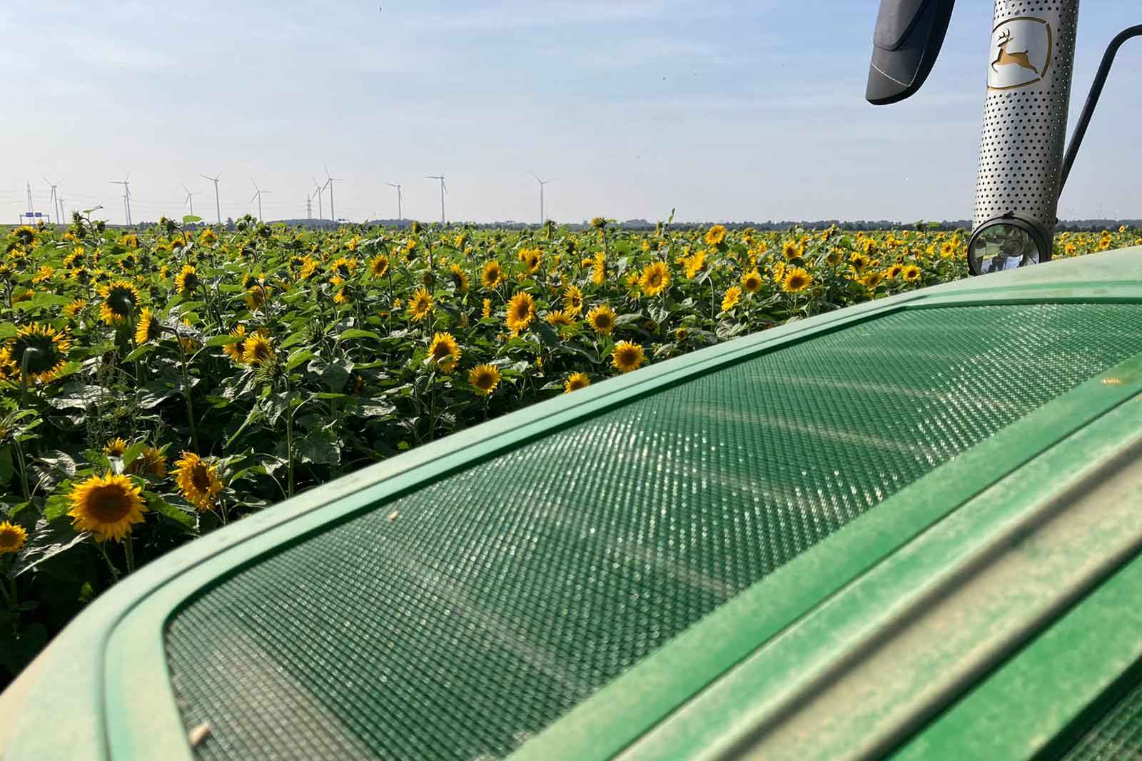 Eine grüne Traktoransicht über ein Feld mit Sonnenblumen und Windkraftanlagen im Hintergrund unter einem blauen Himmel.