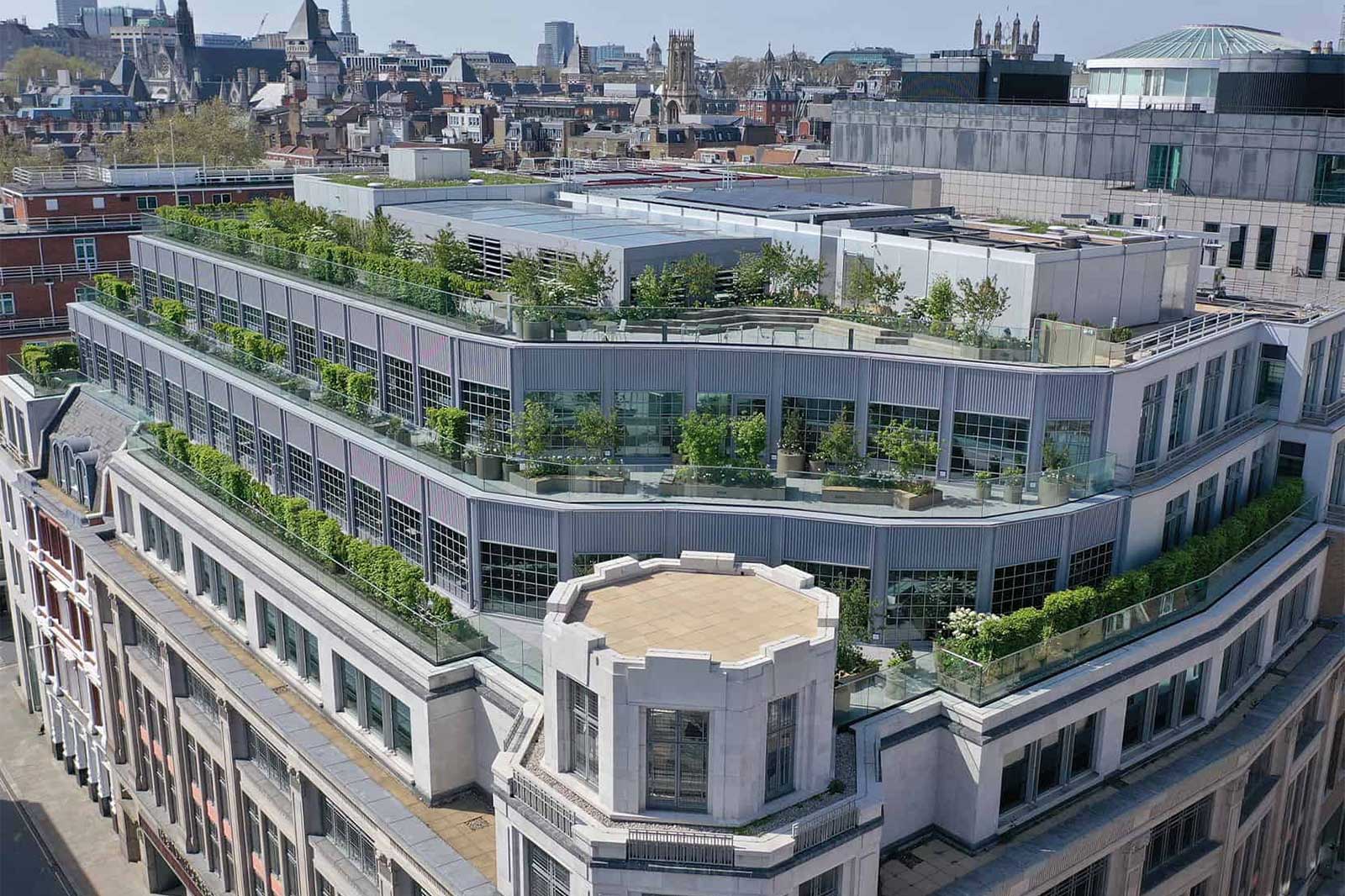 Sunlit multi-story office building with pale stone facade and tiered glass balconies planted with green shrubs and rooftop trees against a city skyline.