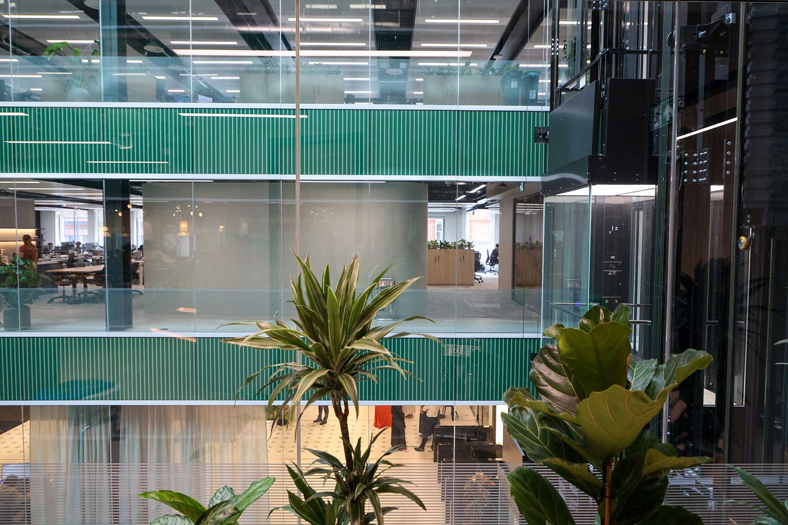 A cluster of tall green houseplants fills the foreground of a bright multi-story office atrium with glass partitions and horizontal green balcony panels.