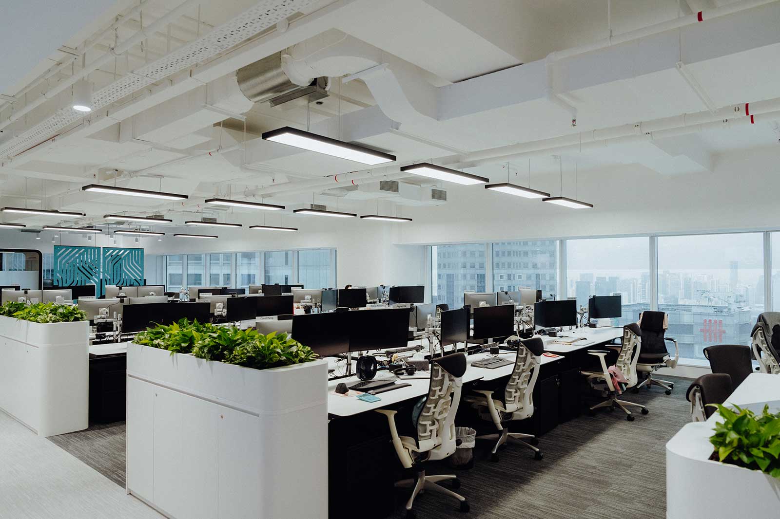 A modern office with multiple workstations, computers, and green plants in white troughs. Large windows with a view.